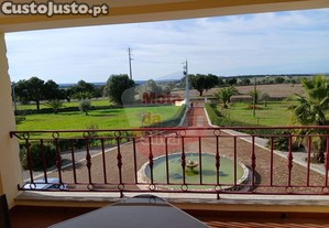 imagem_21