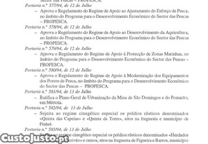 imagem_21