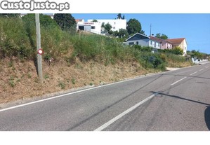 imagem_6