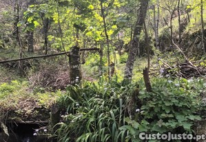 Terreno Rustico Em Vieira Do Minho