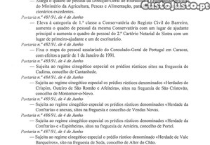 imagem_22