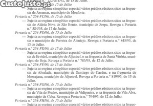 imagem_29