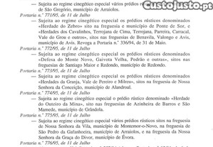 imagem_21