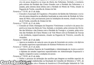 imagem_41