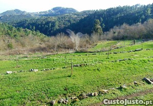 imagem_22