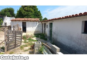 imagem_14
