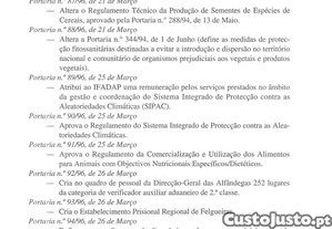 imagem_13