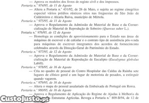 imagem_42