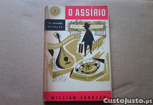 imagem_1