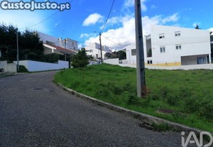imagem_13