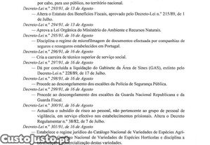imagem_12