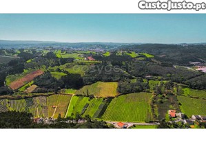 imagem_13
