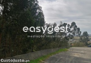 imagem_9