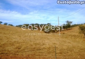 imagem_22