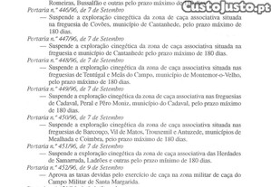 imagem_13