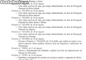 imagem_40