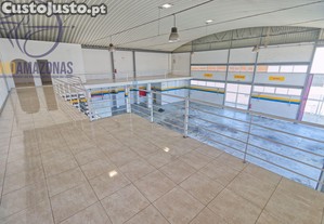 imagem_15