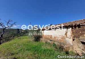 imagem_14