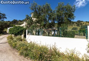 imagem_29