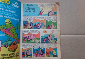 imagem_3