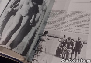 imagem_8