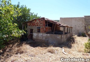 imagem_11
