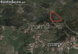 Terreno Rustico Em Fonte Arcada E Oliveira...