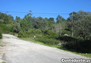 imagem_12