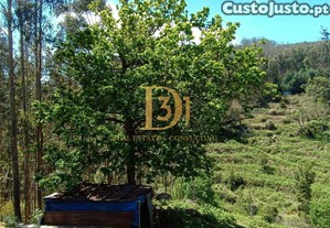 imagem_6