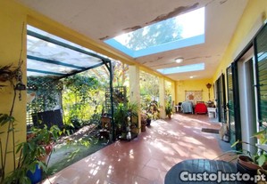 imagem_16