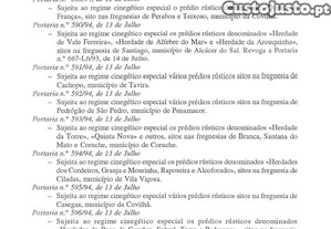imagem_22