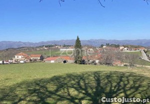 Terreno Montalegre
