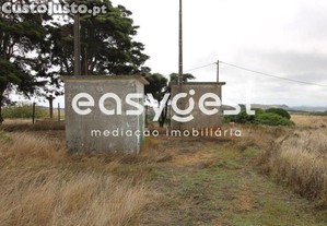 imagem_15