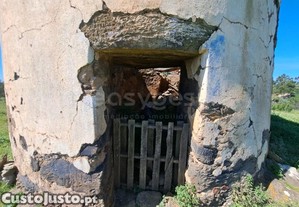 imagem_15