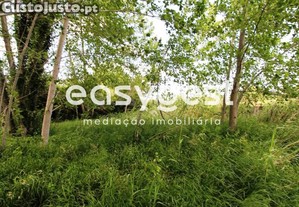 imagem_14