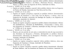 imagem_25