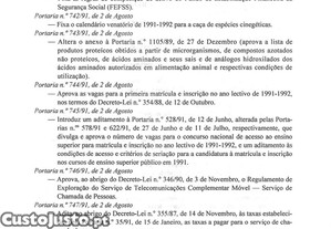 imagem_42