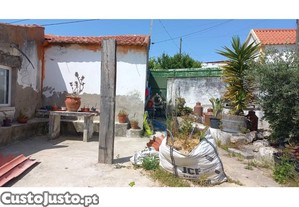 imagem_16
