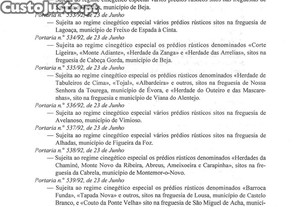 imagem_19