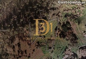 imagem_14