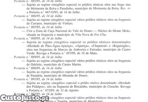 imagem_31