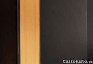 imagem_11
