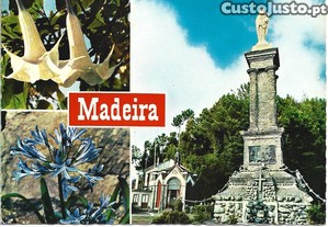 imagem_7