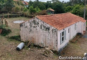 imagem_12