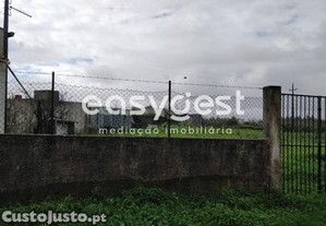imagem_10
