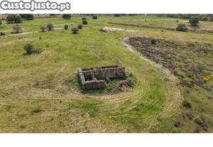 imagem_16