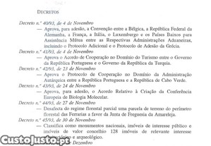 imagem_11