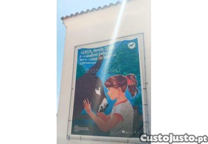 imagem_31