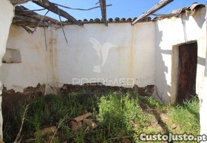 imagem_15
