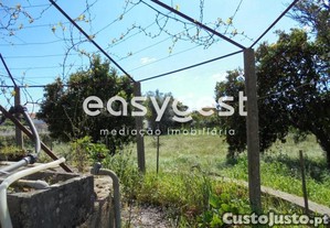 imagem_20
